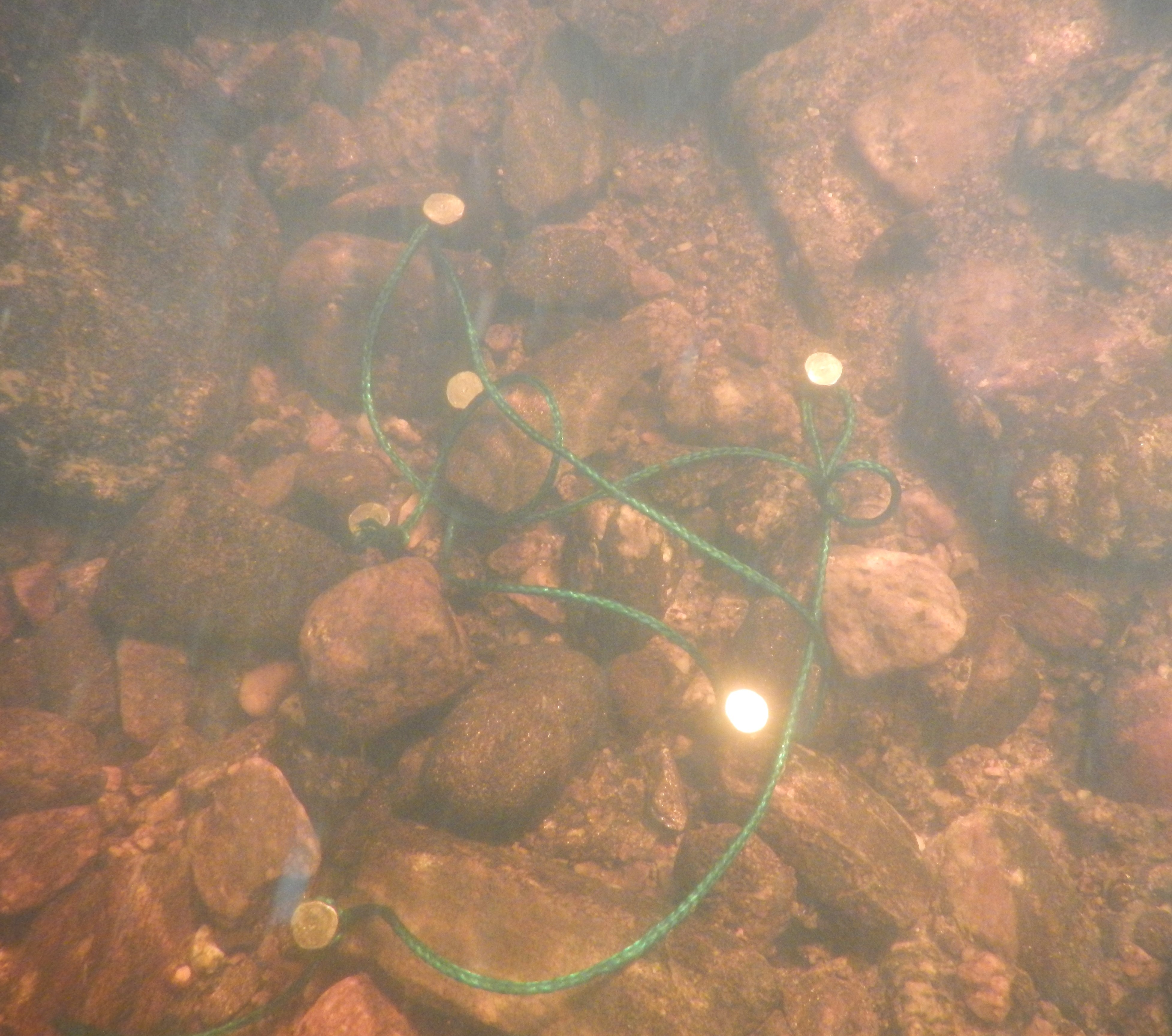 Veden alla joen pohjassa 6 kappaletta nauloja narulla kiinni toisissaan.