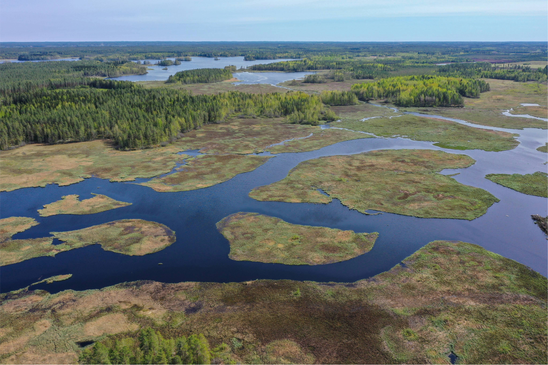 Droneen kuvaama kuva, jossa näkyy kunnostettua järveä.