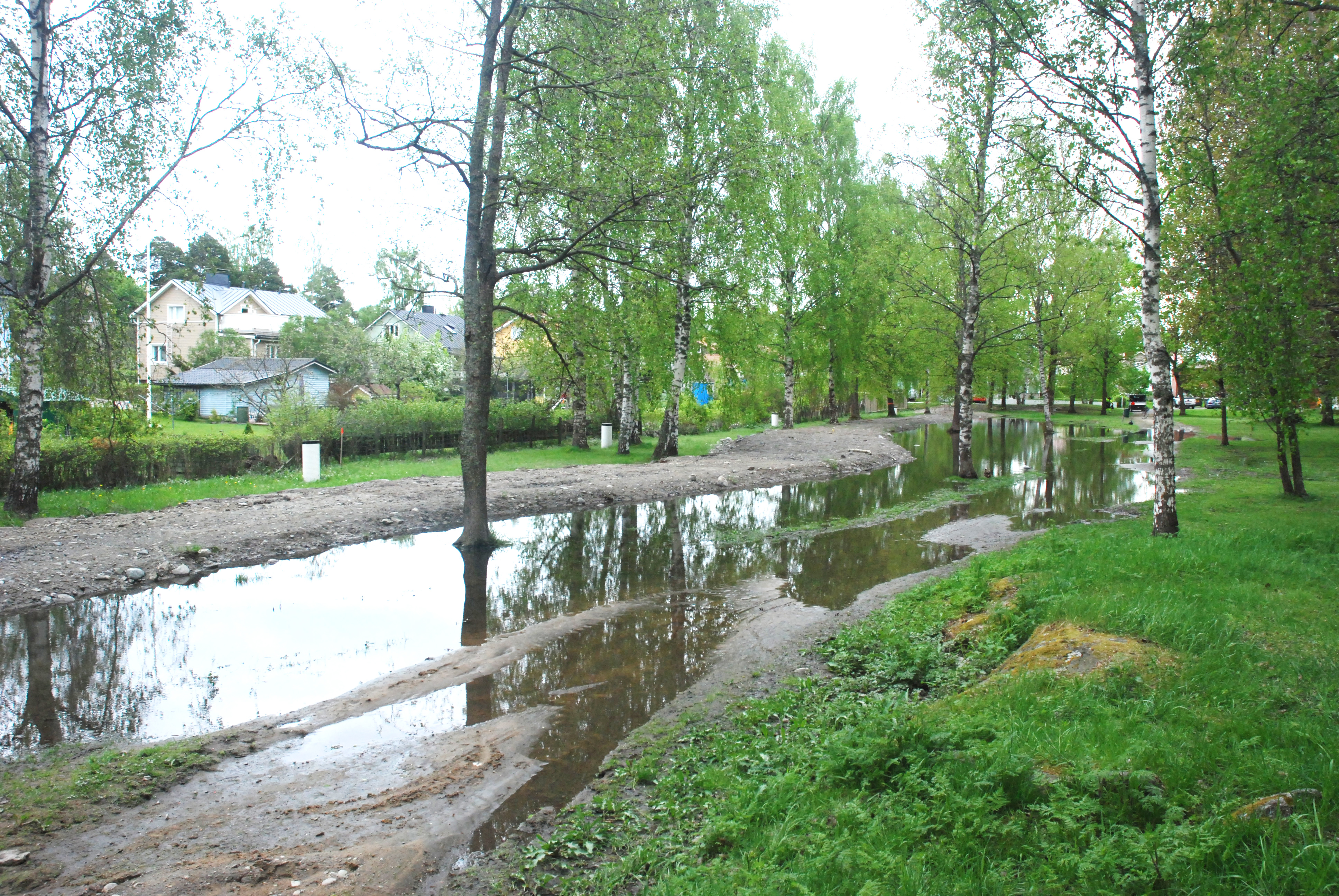 Puisto tulvii rankkasateen jälkeen kesällä. 