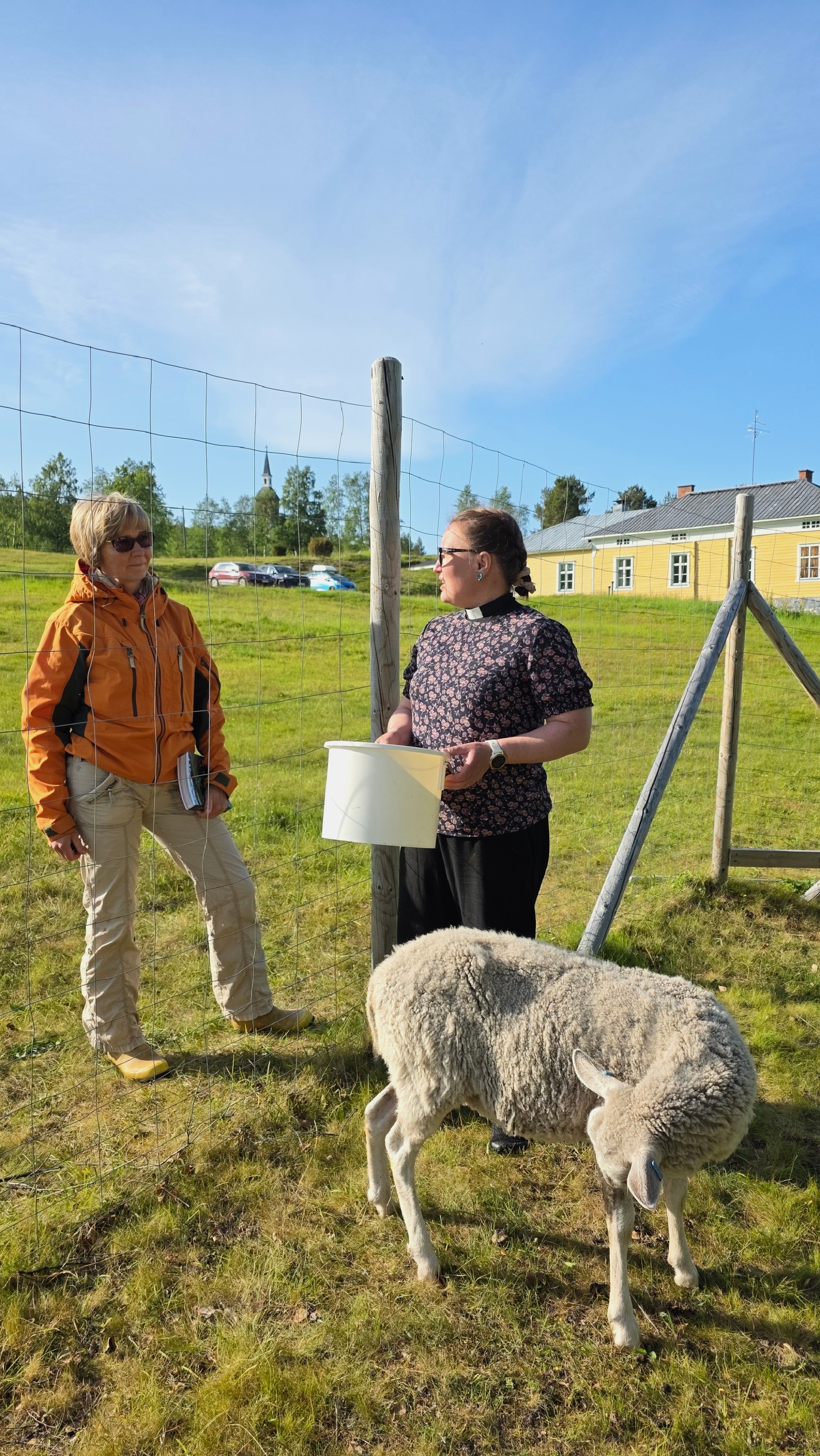 Anu Sorjonen ruokkimassa lampaita pappilan niityllä Marjut Kokon kanssa.