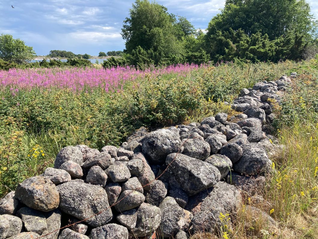 Saaristomaisema.