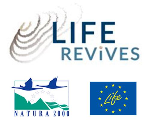 LifeRevives-logot.