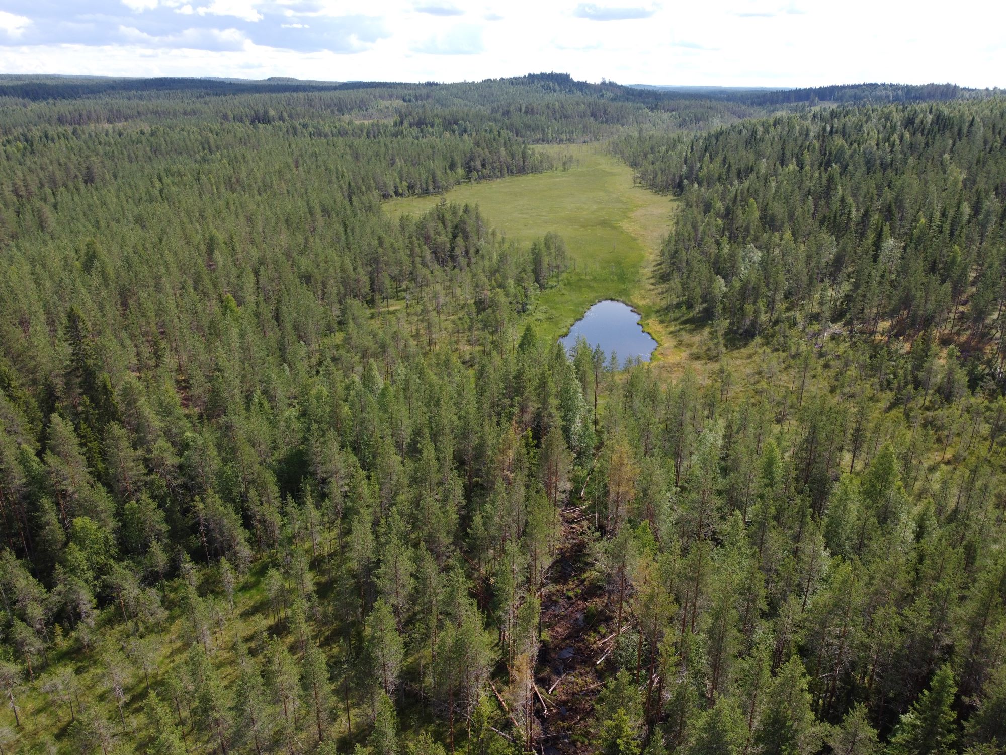 Metsäisessä ilmakuvassa pieni lapmi metsän keskellä.