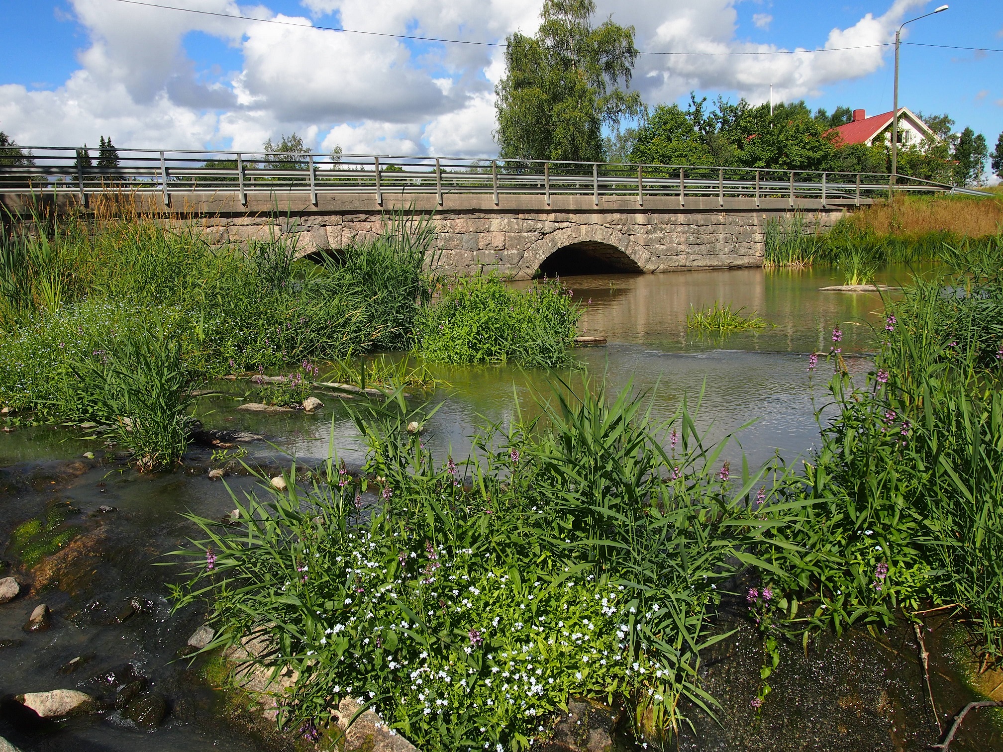 Kirkkosilta, koski.