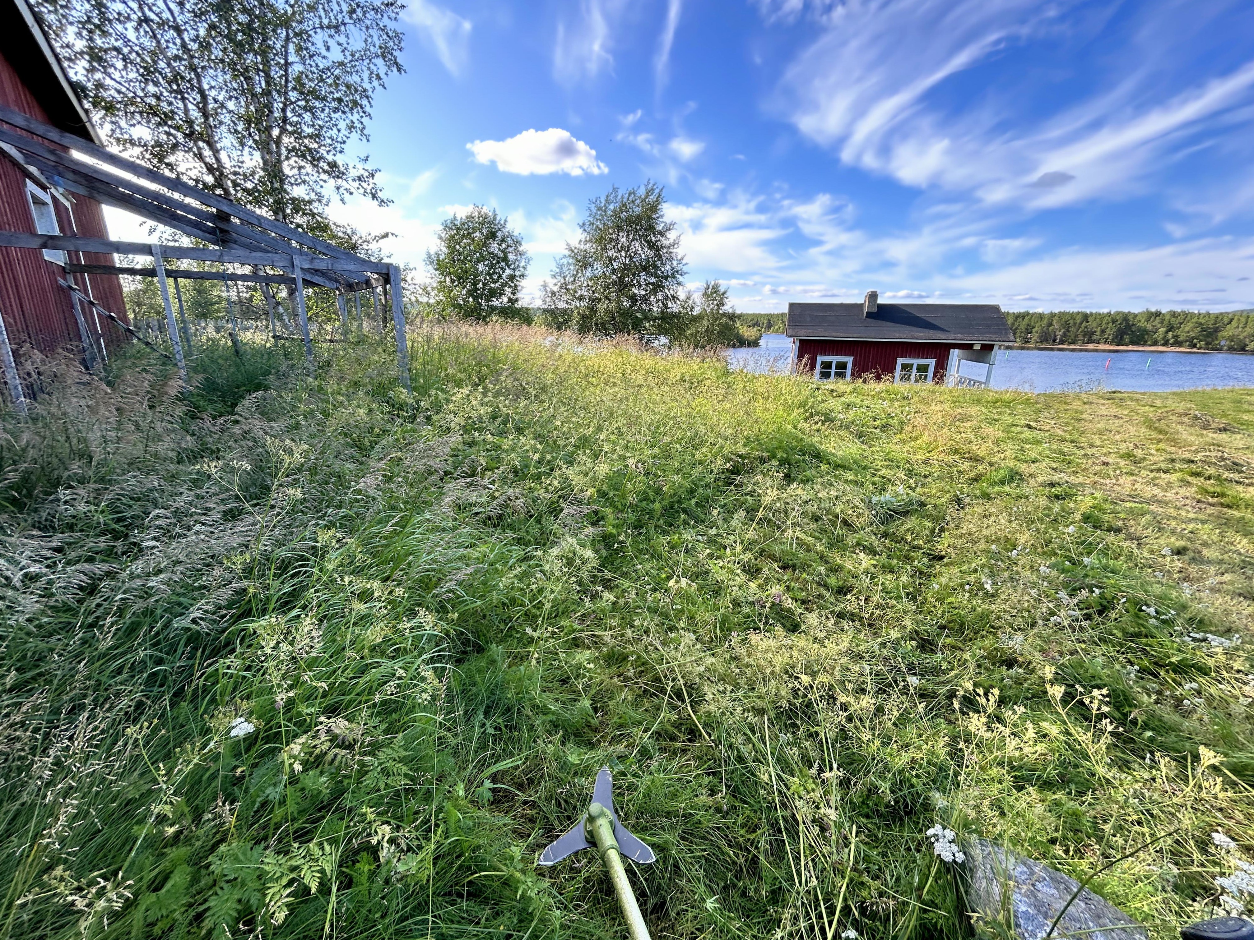 Niitettyä ja niittämätöntä niittyä, taustalla järvimaisemaa, ympärillä pari vanhaa punaista rakennusta.