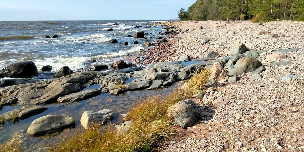 Reposaaren rantaa.