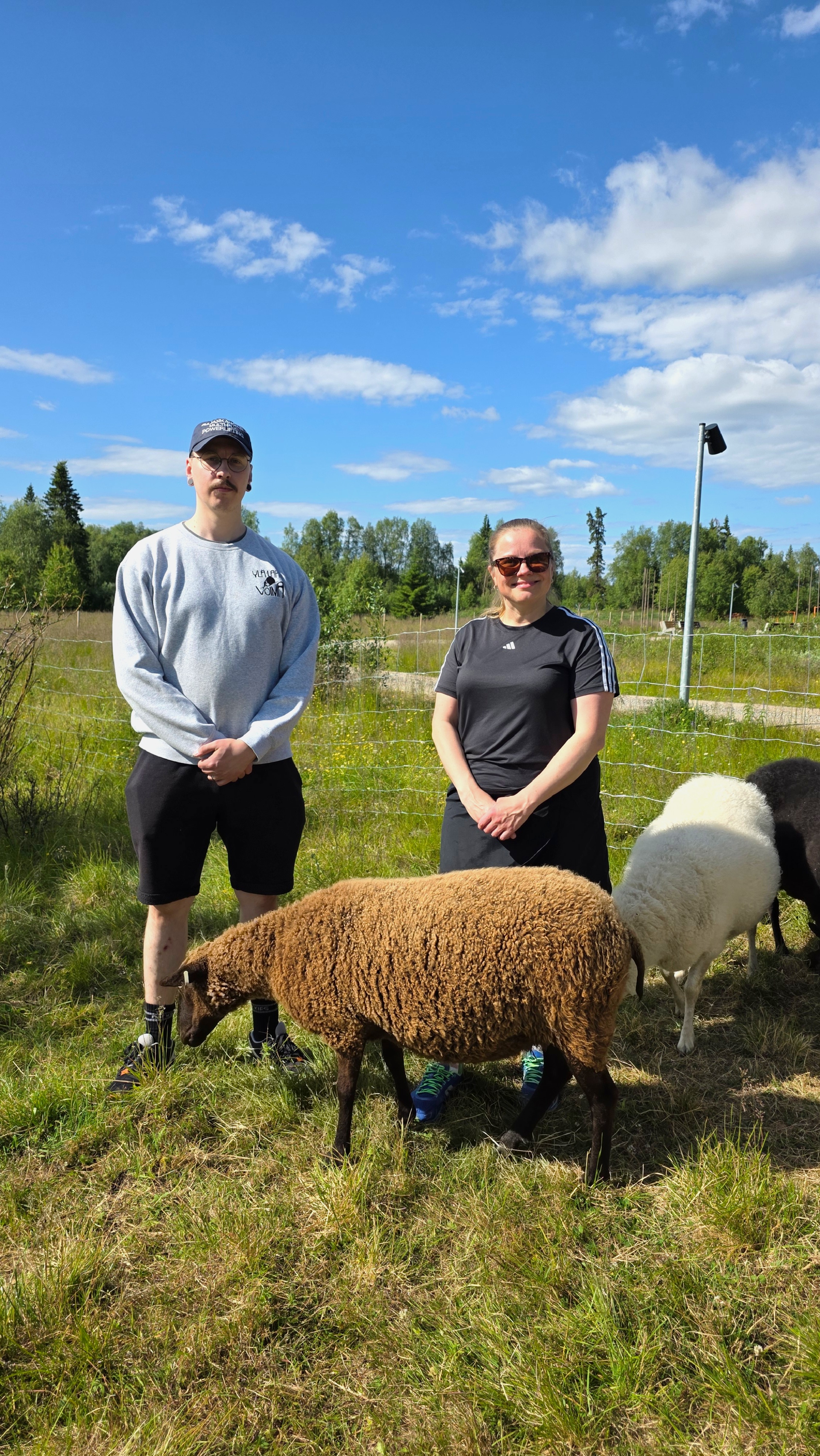 Topi Alasuutari ja Suvi Äärelä lampaiden kanssa Ivalon perhepuistossa